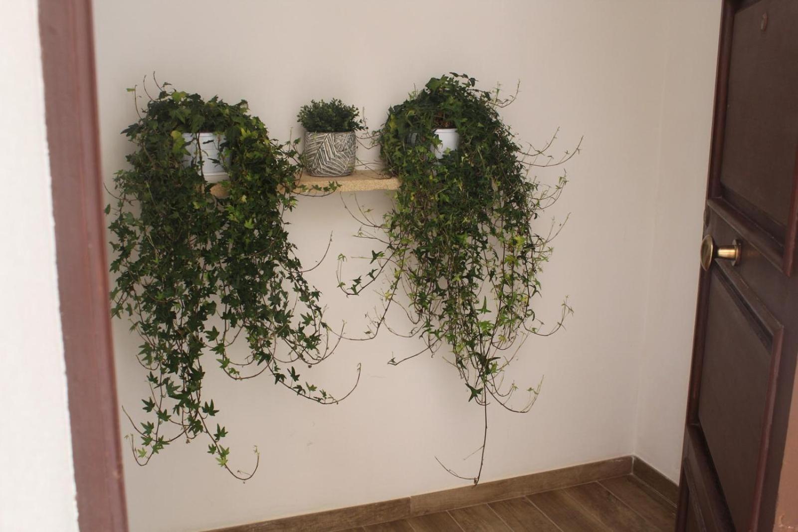 Appartement Annalè à Marsala Extérieur photo